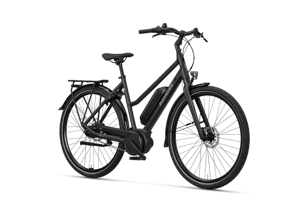 Batavus Razer LTD Low, Detail 1