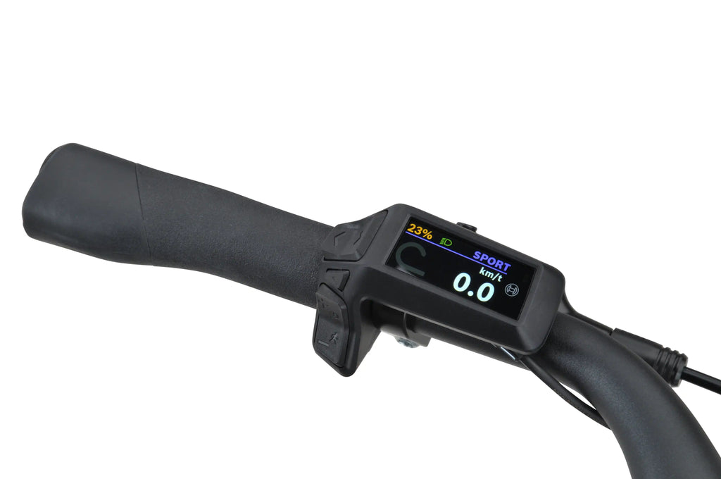 Batavus altura city plus Bosch Purion 200-display