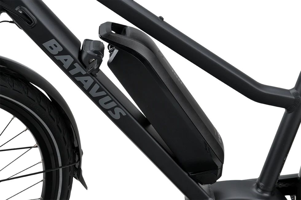 Batavus Razer LTD Low, Bosch Batteri