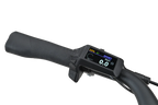 Batavus Razer LTD Low, Bosch Display