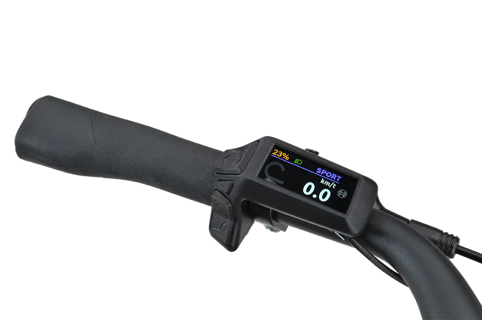 Batavus Razer LTD Low, Bosch Display