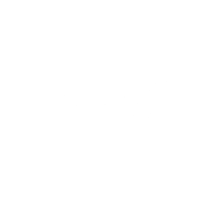 DSV leverans logo vit