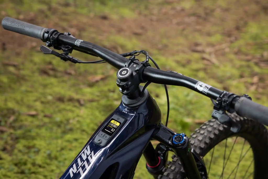 Haibike Allmtn cf 10 trn/iq Pinion fit master node-display