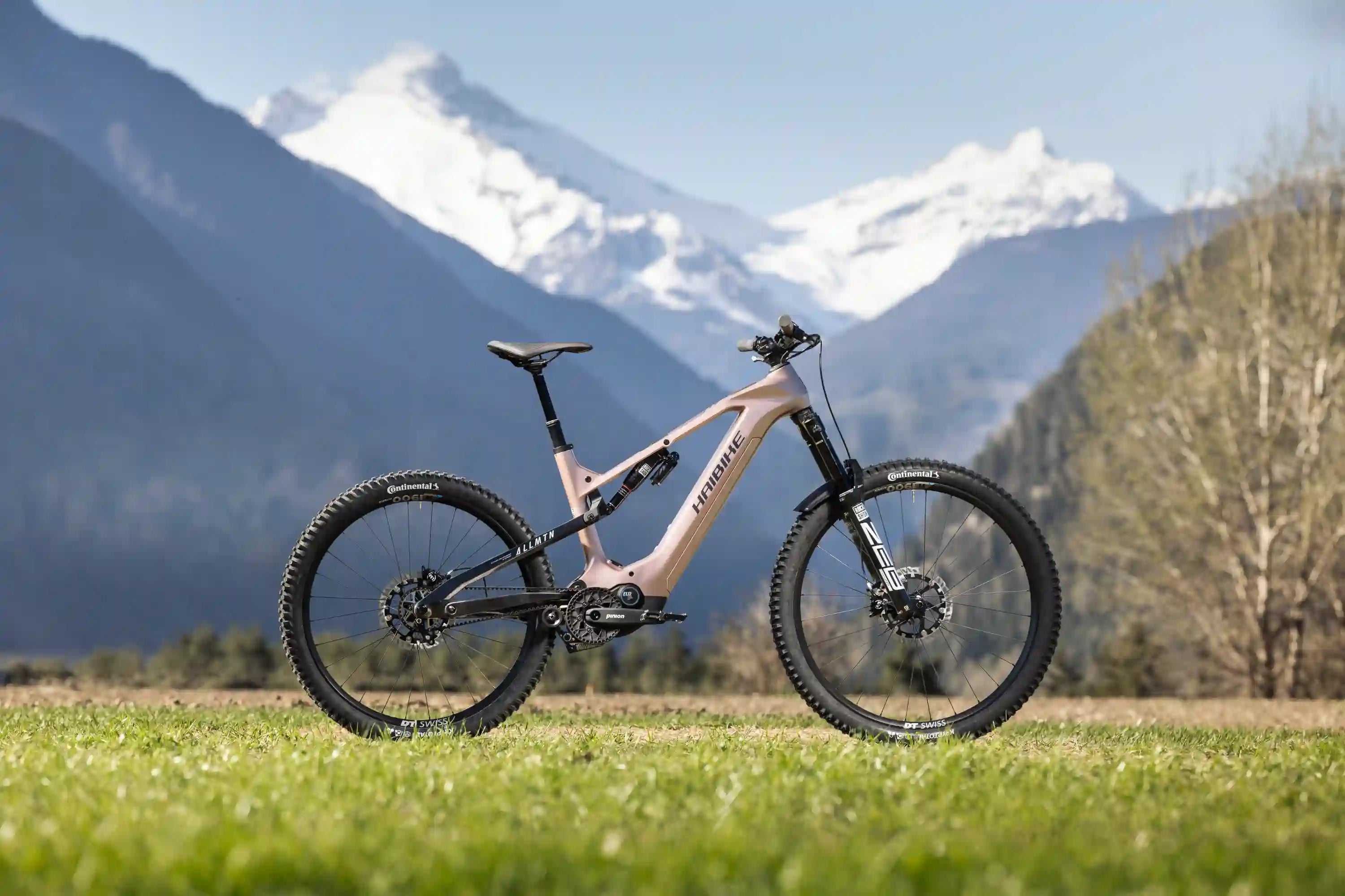 Haibike allmtn cf 11 trn/iq el-mtb i landskapet