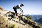 Haibike allmtn cf 11 trn/iq el-mtb i terrängen