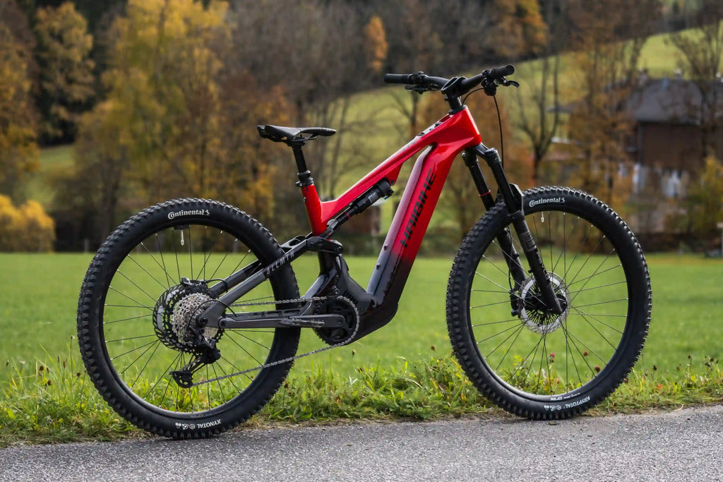 Haibike allmtn cf 9 el-mtb i landskapet