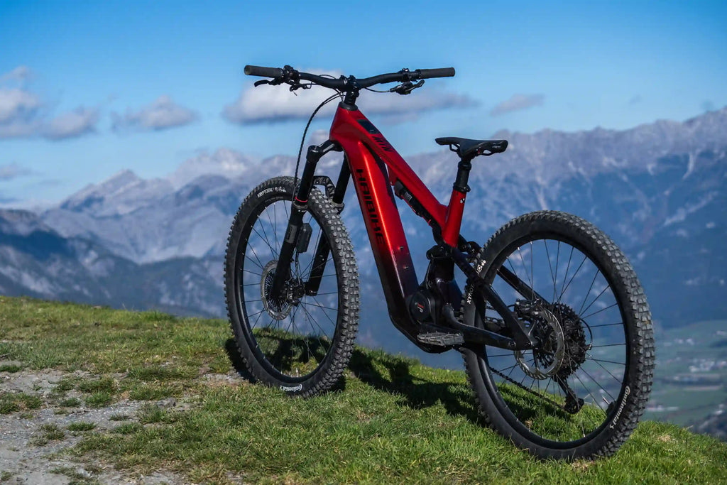 Haibike allmtn cf 9.5 abs el-mtb från sidan