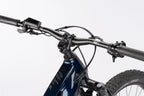 Haibike alltrack 10, Bosch display