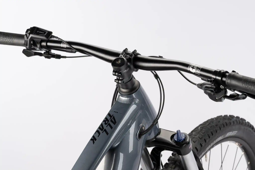 Haibike alltrack 6.5, Bosch display