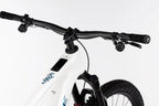 Haibike hybe cf 11, Bosch kiox 400C display