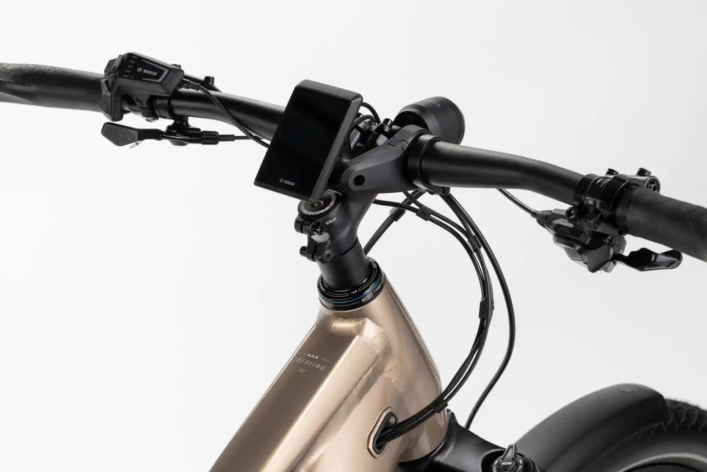 Haibike trekking 6.5, Bosch kiox display
