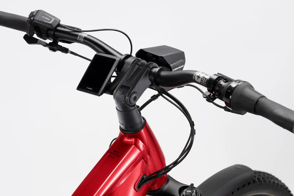Haibike trekking 9 abs, Bosch kiox display