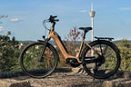 Tunturi elcykel från Elcykelvärlden i Göteborgs landskapet