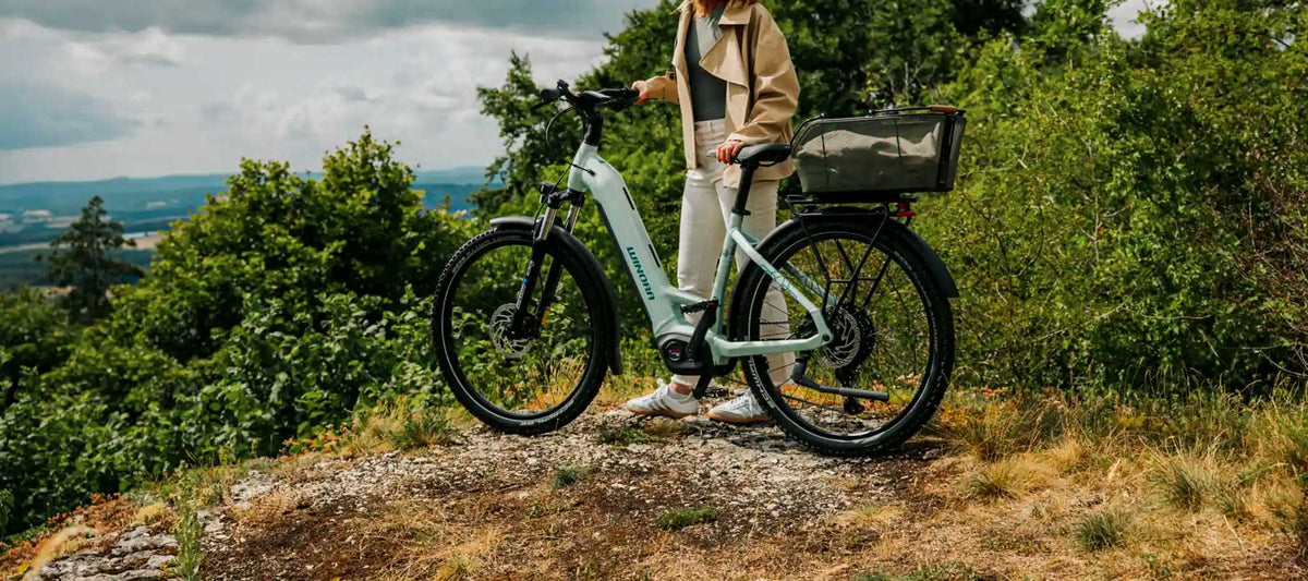 Winora elcykel i landskapet